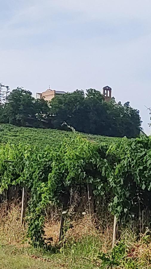 B&B I Tre Ulivi 모르도로 외부 사진