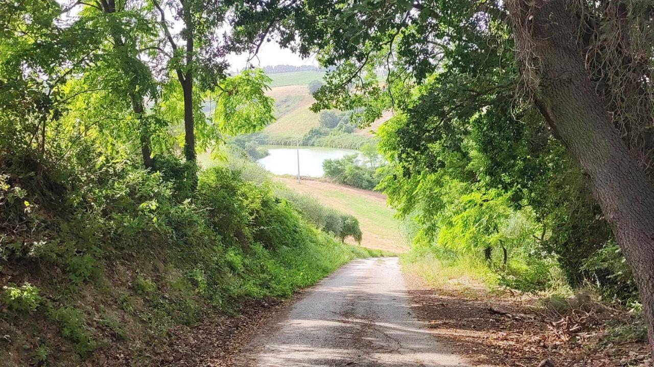 B&B I Tre Ulivi 모르도로 외부 사진