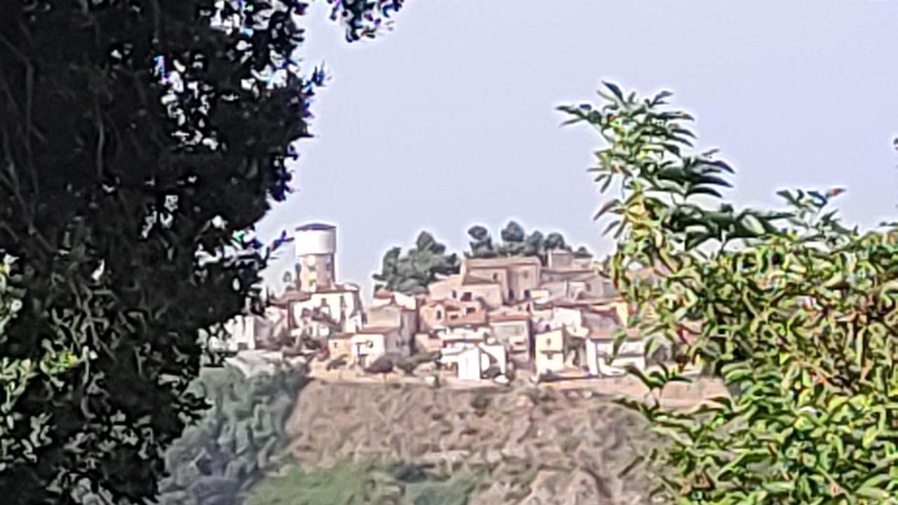 B&B I Tre Ulivi 모르도로 외부 사진