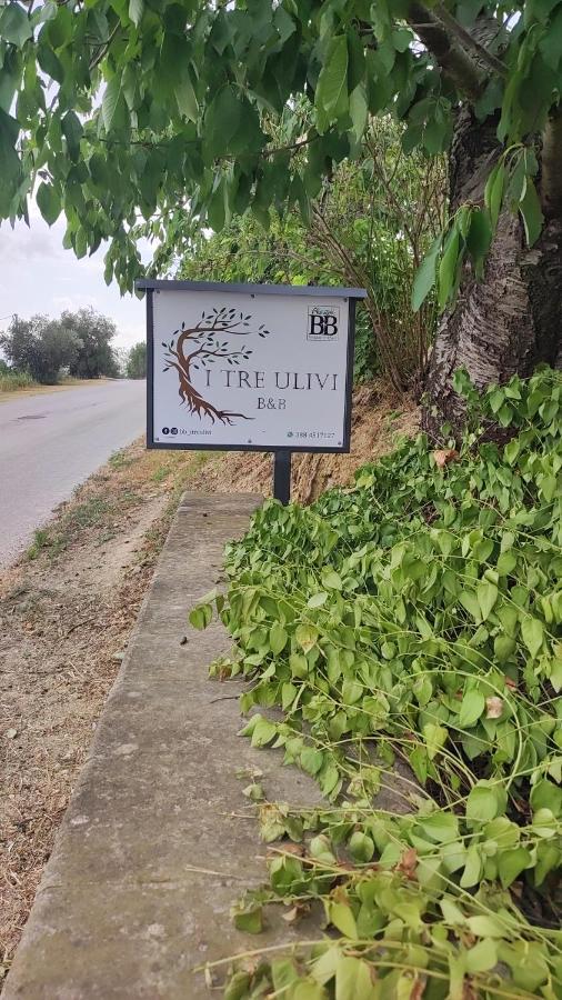 B&B I Tre Ulivi 모르도로 외부 사진