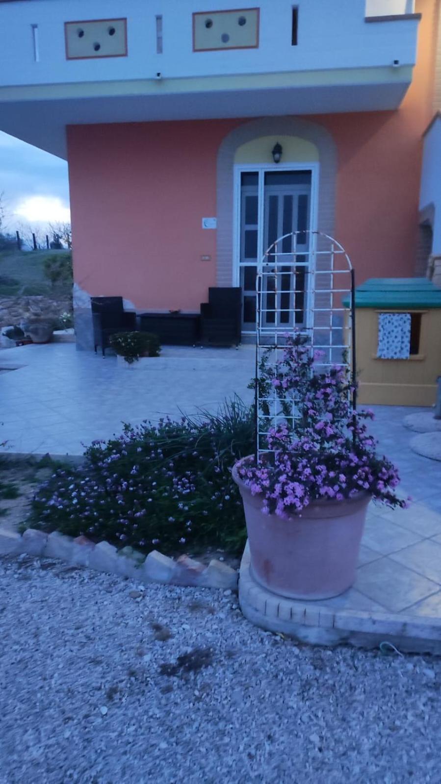 B&B I Tre Ulivi 모르도로 외부 사진
