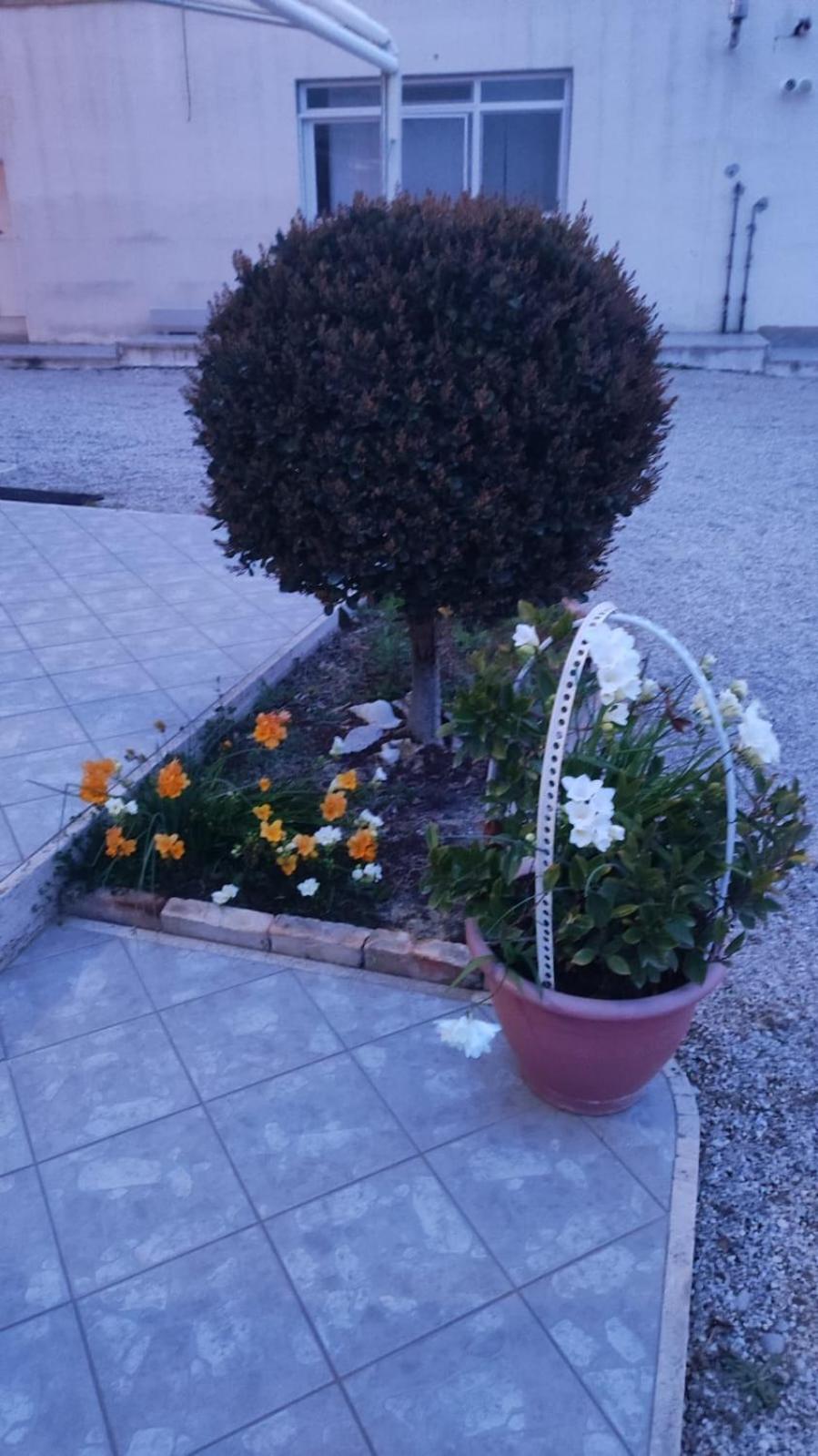 B&B I Tre Ulivi 모르도로 외부 사진
